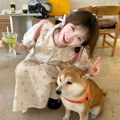 沙鲁克罕之爱情诊疗室